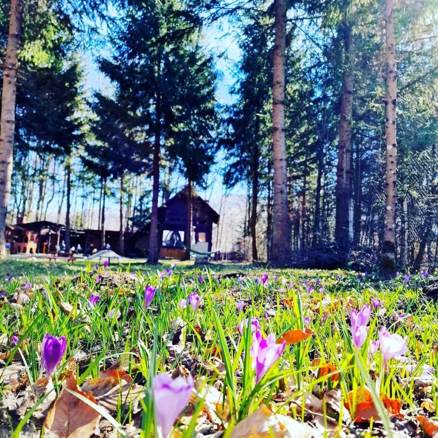 ポルンバク・デ・スス Misha'S Houseヴィラ エクステリア 写真
